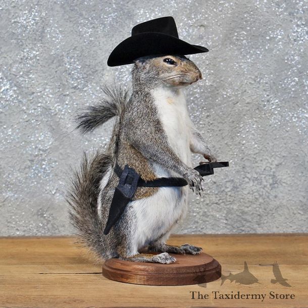 Novelty Cowboy Grey Squirrel #11922 For Sale @ The Taxidermy Store