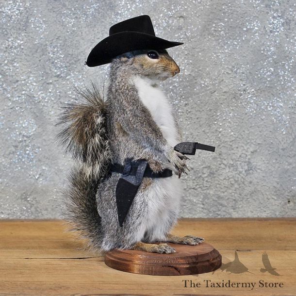 Novelty Cowboy Grey Squirrel #11923 For Sale @ The Taxidermy Store