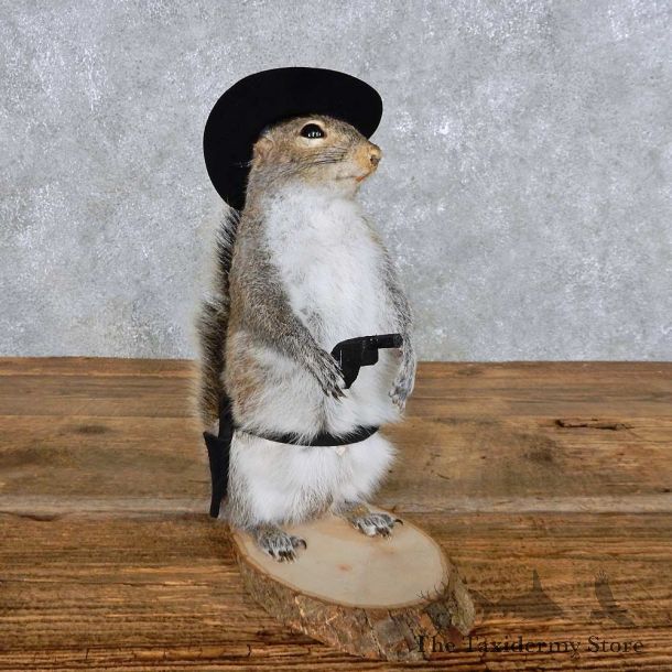 Novelty Cowboy Squirrel Mount For Sale #14403 @ The Taxidermy Store