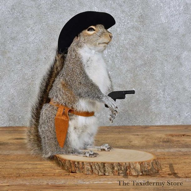 Cowboy Squirrel Novelty Mount For Sale #15947 @ The Taxidermy Store