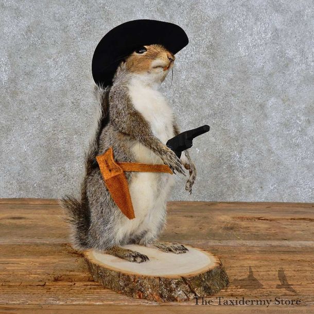 Cowboy Squirrel Novelty Mount For Sale #15948 @ The Taxidermy Store