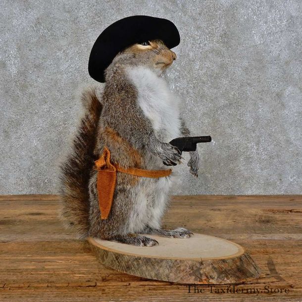Cowboy Squirrel Novelty Mount For Sale #15949 @ The Taxidermy Store