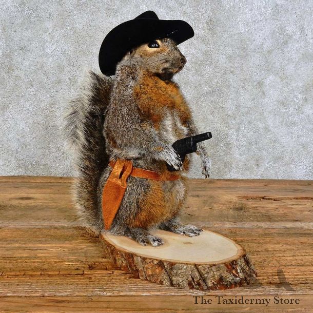 Cowboy Squirrel Novelty Mount For Sale #15950 @ The Taxidermy Store