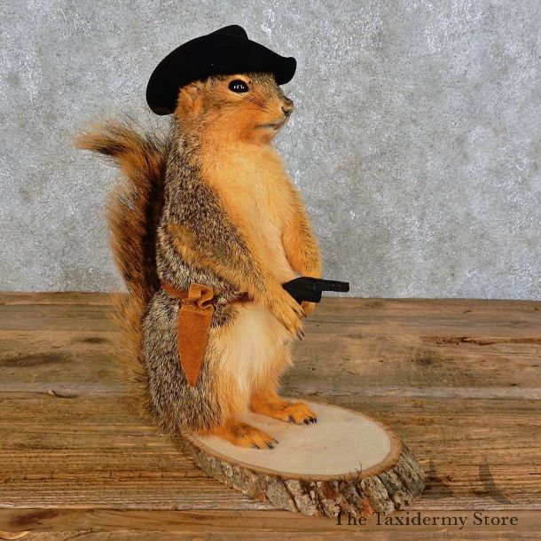 Cowboy Squirrel Novelty Mount For Sale #15951 @ The Taxidermy Store