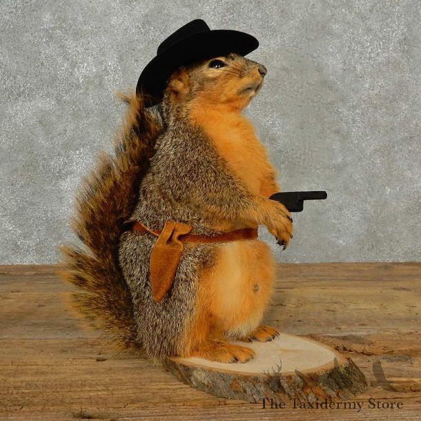 Cowboy Squirrel Novelty Mount For Sale #16803 @ The Taxidermy Store