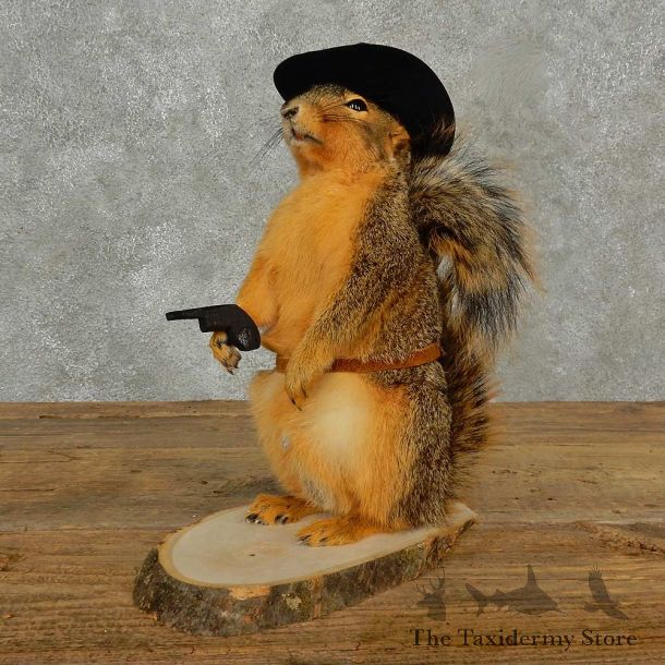 Cowboy Squirrel Novelty Mount For Sale #16804 @ The Taxidermy Store