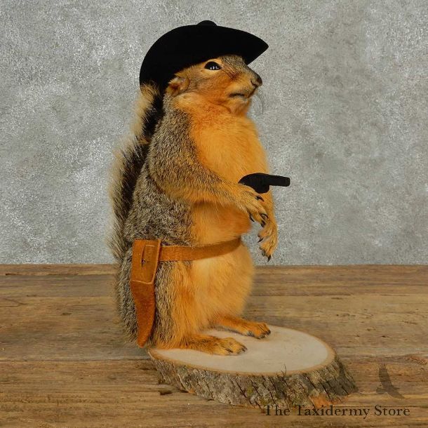 Cowboy Squirrel Novelty Mount For Sale #16806 @ The Taxidermy Store