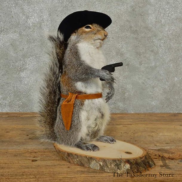 Cowboy Squirrel Novelty Mount For Sale #16808 @ The Taxidermy Store