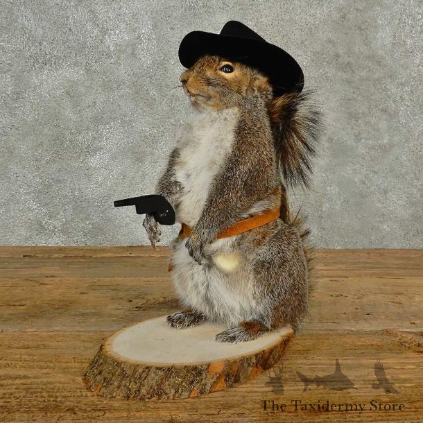 Cowboy Squirrel Novelty Mount For Sale #16809 @ The Taxidermy Store