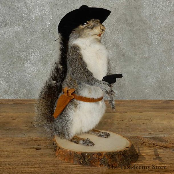 Cowboy Squirrel Novelty Mount For Sale #16810 @ The Taxidermy Store