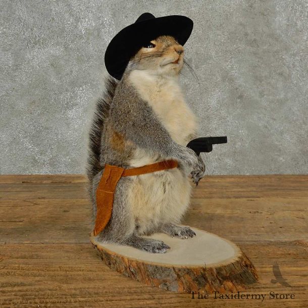 Cowboy Squirrel Novelty Mount For Sale #16811 @ The Taxidermy Store