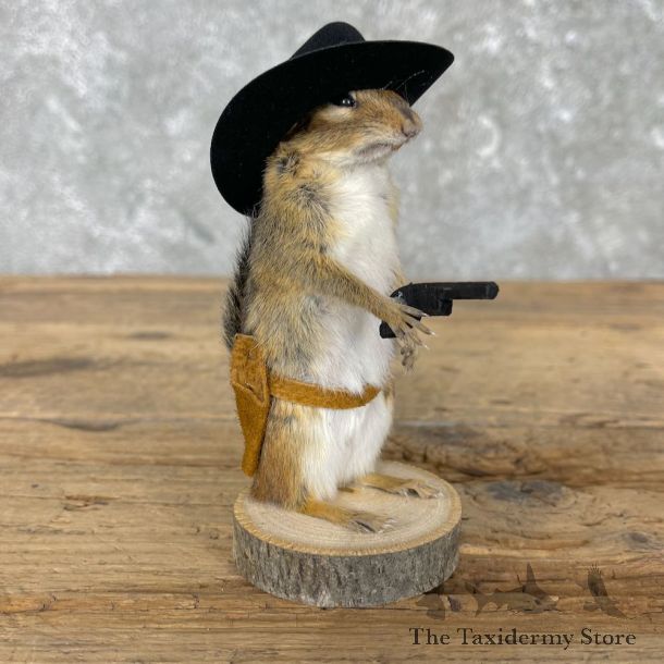 Cowboy Chipmunk Novelty Mount For Sale #26103 @ The Taxidermy Store