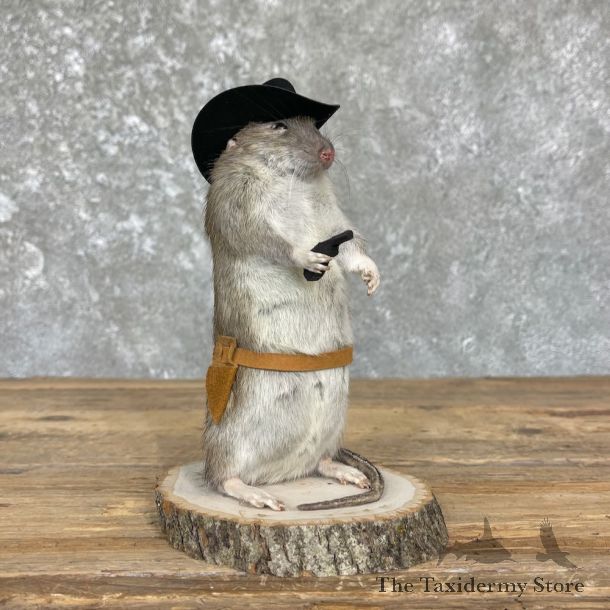 Cowboy Rat Novelty Mount For Sale #26364 @ The Taxidermy Store
