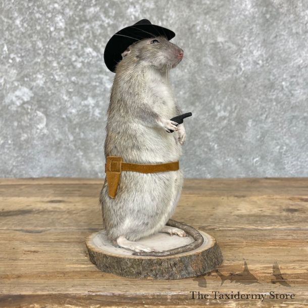 Cowboy Rat Novelty Mount For Sale #26372 @ The Taxidermy Store