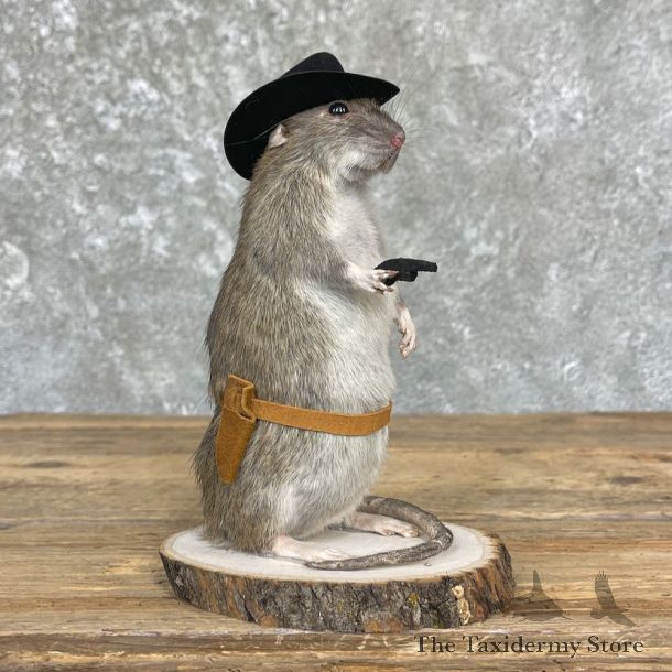 Cowboy Rat Novelty Mount For Sale #26630 @ The Taxidermy Store