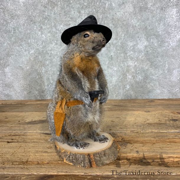 Cowboy Squirrel Novelty Mount For Sale #23045 @ The Taxidermy Store