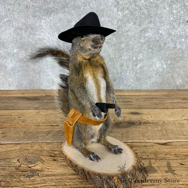 Cowboy Squirrel Novelty Mount For Sale #23457 @ The Taxidermy Store