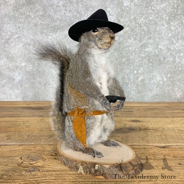Cowboy Squirrel Novelty Mount For Sale #23458 @ The Taxidermy Store