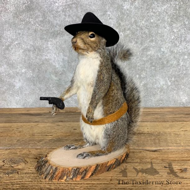 Cowboy Squirrel Novelty Mount For Sale #23459 @ The Taxidermy Store
