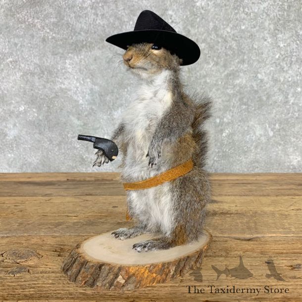 Cowboy Squirrel Novelty Mount For Sale #23460 @ The Taxidermy Store