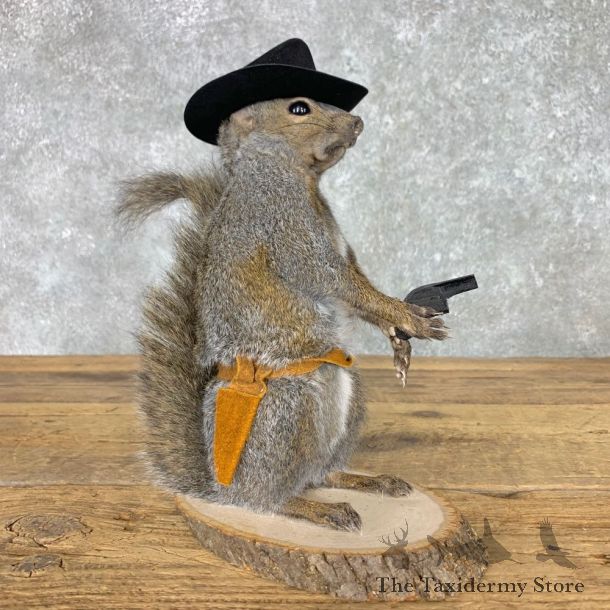 Cowboy Squirrel Novelty Mount For Sale #23461 @ The Taxidermy Store