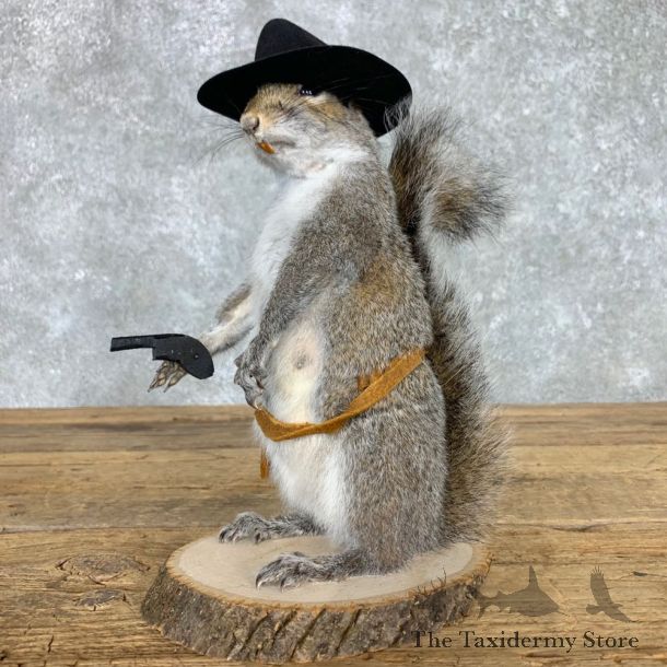 Cowboy Squirrel Novelty Mount For Sale #23462 @ The Taxidermy Store