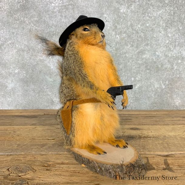 Cowboy Squirrel Novelty Mount For Sale #23463 @ The Taxidermy Store