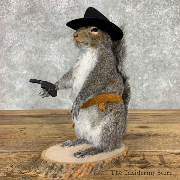 Cowboy Squirrel Novelty Mount For Sale #23464 @ The Taxidermy Store