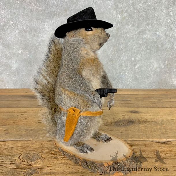 Cowboy Squirrel Novelty Mount For Sale #23465 @ The Taxidermy Store