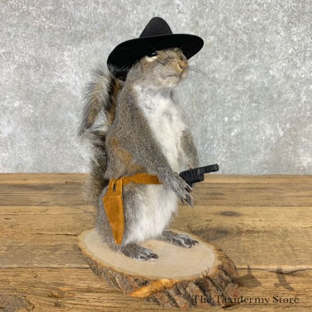Cowboy Squirrel Novelty Mount For Sale #23466 @ The Taxidermy Store