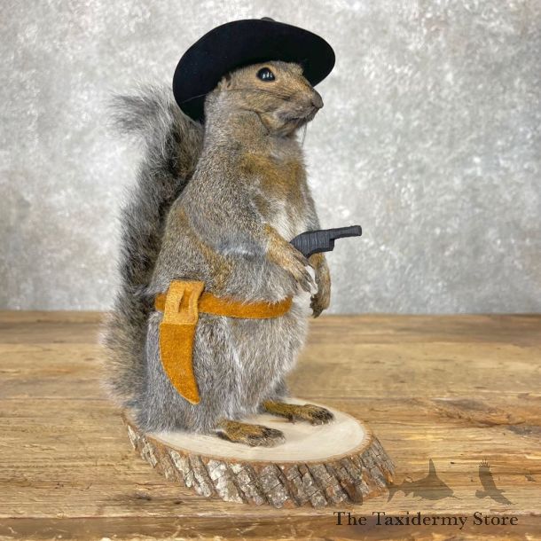 Cowboy Squirrel Novelty Mount For Sale #24972 - The Taxidermy Store