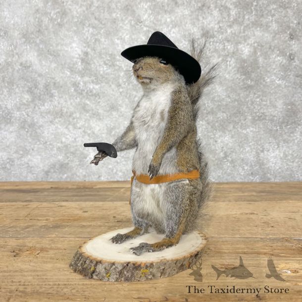 Cowboy Squirrel Novelty Mount For Sale #28599 @ The Taxidermy Store