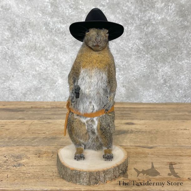 Cowboy Squirrel Novelty Mount For Sale #28600 @ The Taxidermy Store