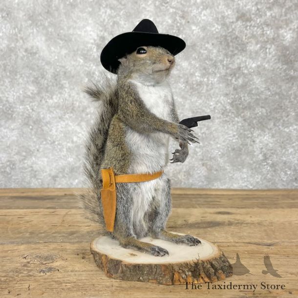 Cowboy Squirrel Novelty Mount For Sale #28601 @ The Taxidermy Store