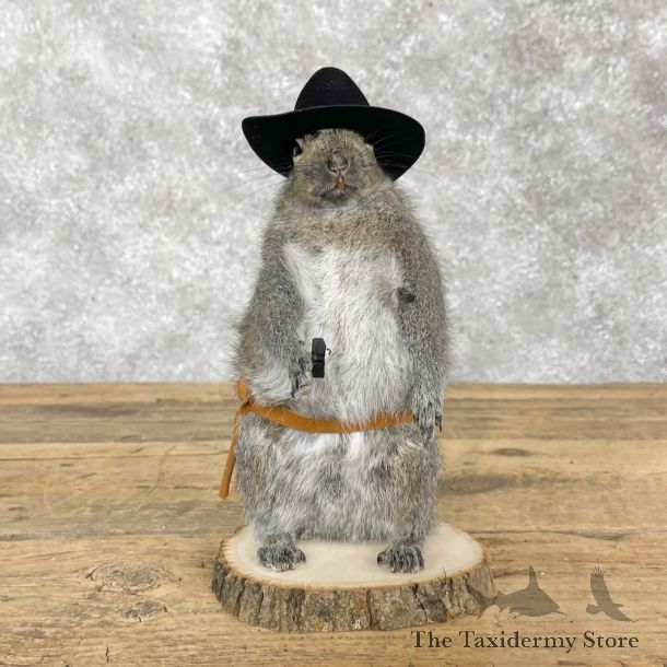 Cowboy Squirrel Novelty Mount For Sale #28602 @ The Taxidermy Store