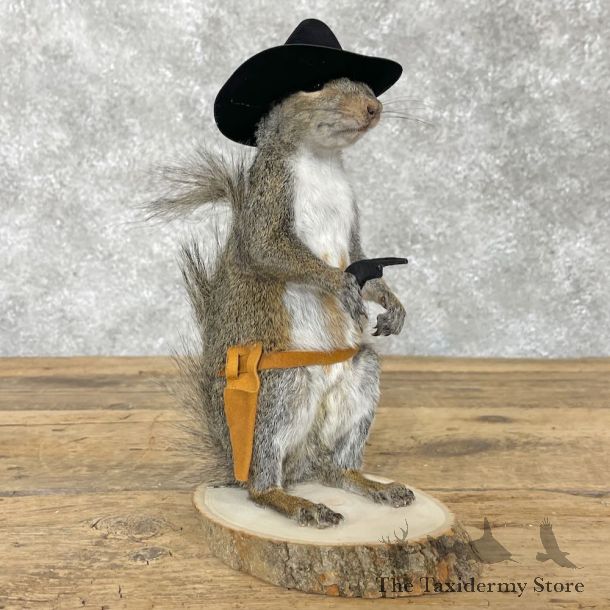 Cowboy Squirrel Novelty Mount For Sale #28603 @ The Taxidermy Store