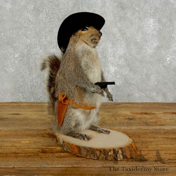 Cowboy Squirrel Novelty Mount For Sale #17619 @ The Taxidermy Store
