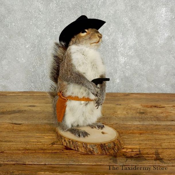 Cowboy Squirrel Novelty Mount For Sale #17620 @ The Taxidermy Store