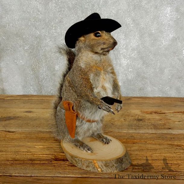 Cowboy Squirrel Novelty Mount For Sale #17622 @ The Taxidermy Store