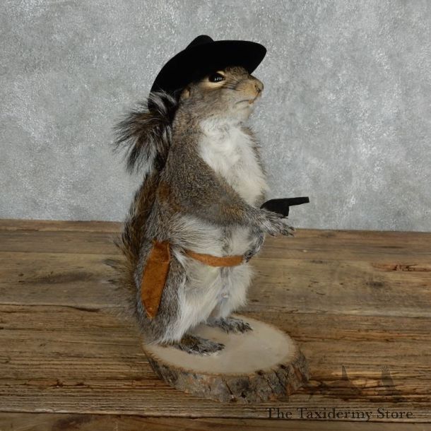 Cowboy Squirrel Novelty Mount For Sale #18028 @ The Taxidermy Store