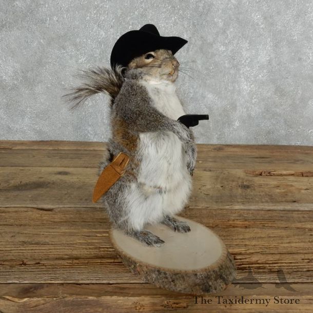 Cowboy Squirrel Novelty Mount For Sale #18029 @ The Taxidermy Store