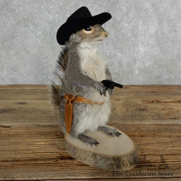Cowboy Squirrel Novelty Mount For Sale #18030 @ The Taxidermy Store