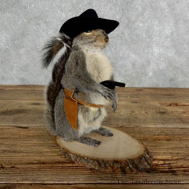Cowboy Squirrel Novelty Mount For Sale #18031 @ The Taxidermy Store