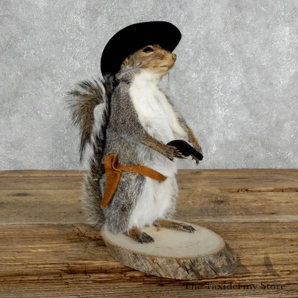 Cowboy Squirrel Novelty Mount For Sale #18032 @ The Taxidermy Store