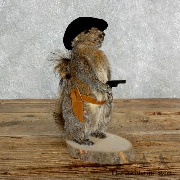 Cowboy Squirrel Novelty Mount For Sale #18033 @ The Taxidermy Store