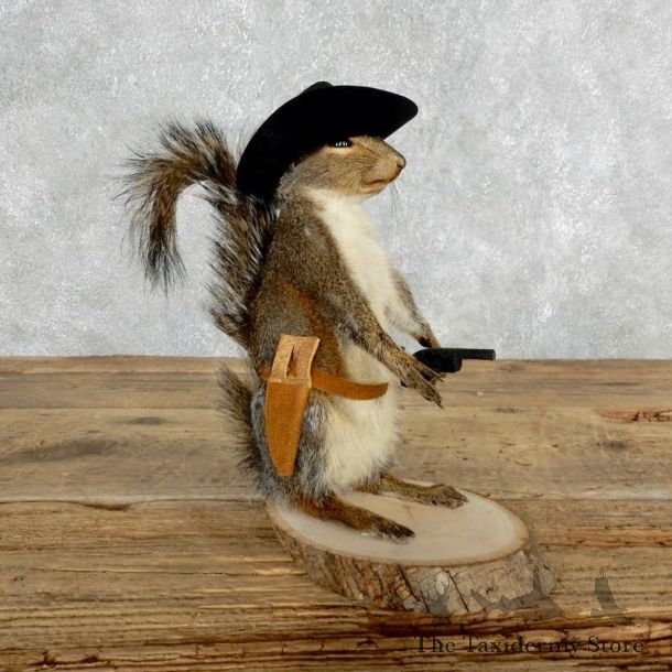 Cowboy Squirrel Novelty Mount For Sale #18034 @ The Taxidermy Store