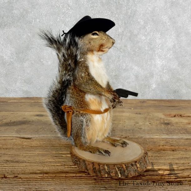 Cowboy Squirrel Novelty Mount For Sale #18035 @ The Taxidermy Store