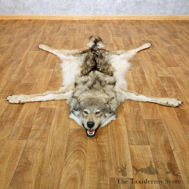 Alaskan Wolf Full Size Rug For Sale #14584 @ The Taxidermy Store