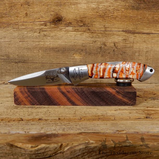 Custom Folding Pocket Knife with Mammoth Tooth Handle For Sale #19232 @ The Taxidermy Store