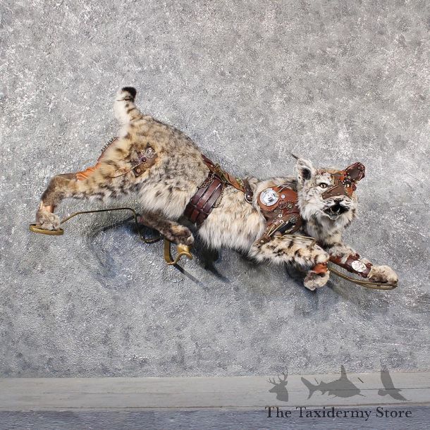 Legendermy Steampunk Bobcat Mount #11632 For Sale @ The Taxidermy Store